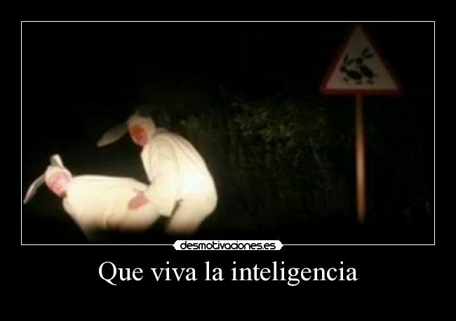 Que viva la inteligencia -