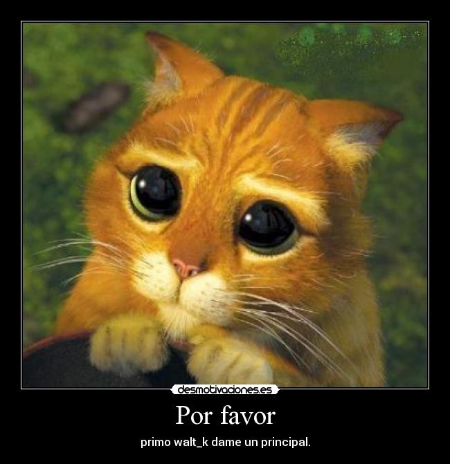 Por favor - 