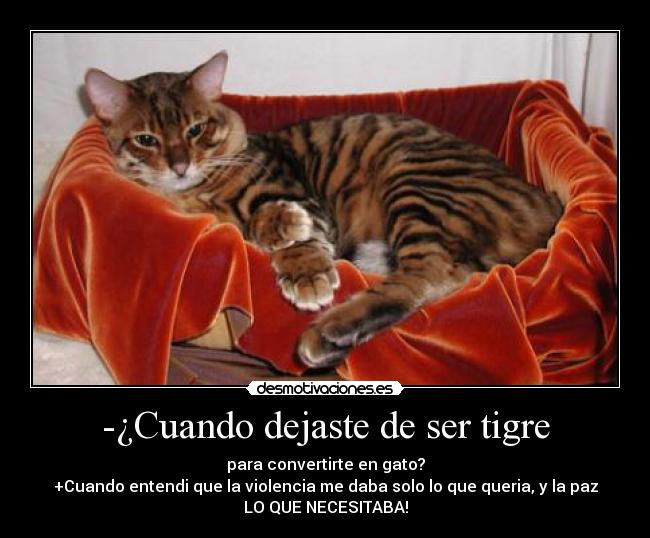 -¿Cuando dejaste de ser tigre - para convertirte en gato?
+Cuando entendi que la violencia me daba solo lo que queria, y la paz
LO QUE NECESITABA!