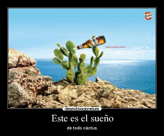 Este es el sueño - de todo cáctus.