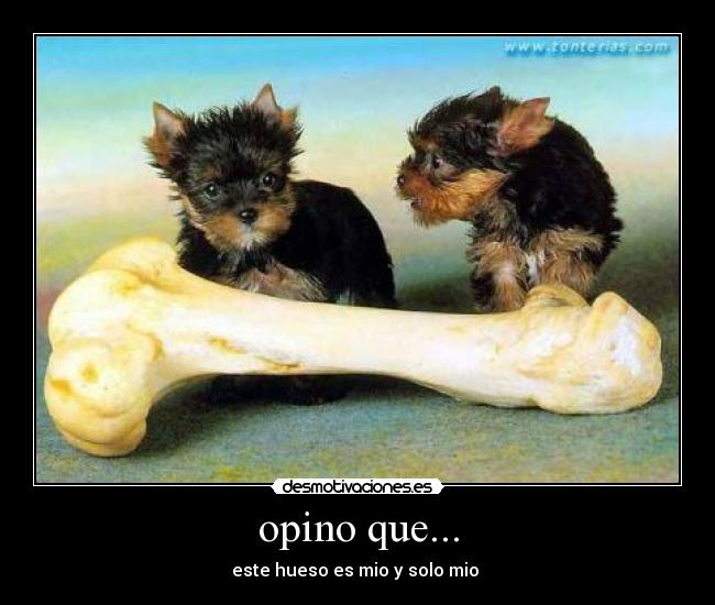 opino que... - 