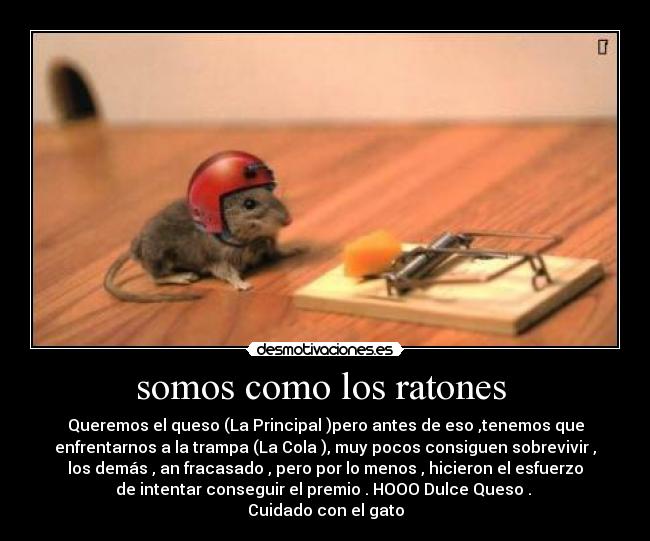 somos como los ratones  - Queremos el queso (La Principal )pero antes de eso ,tenemos que
enfrentarnos a la trampa (La Cola ), muy pocos consiguen sobrevivir ,
los demás , an fracasado , pero por lo menos , hicieron el esfuerzo
de intentar conseguir el premio . HOOO Dulce Queso . 
Cuidado con el gato