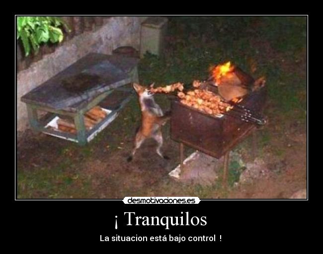¡ Tranquilos - La situacion está bajo control !