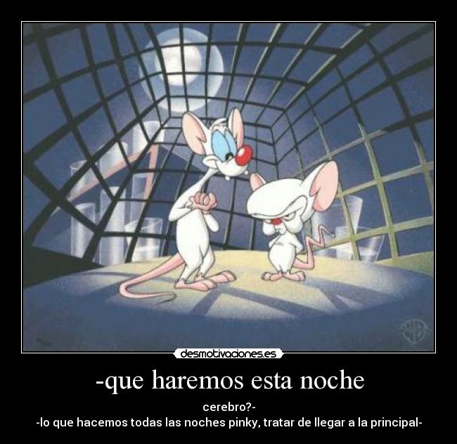 -que haremos esta noche -