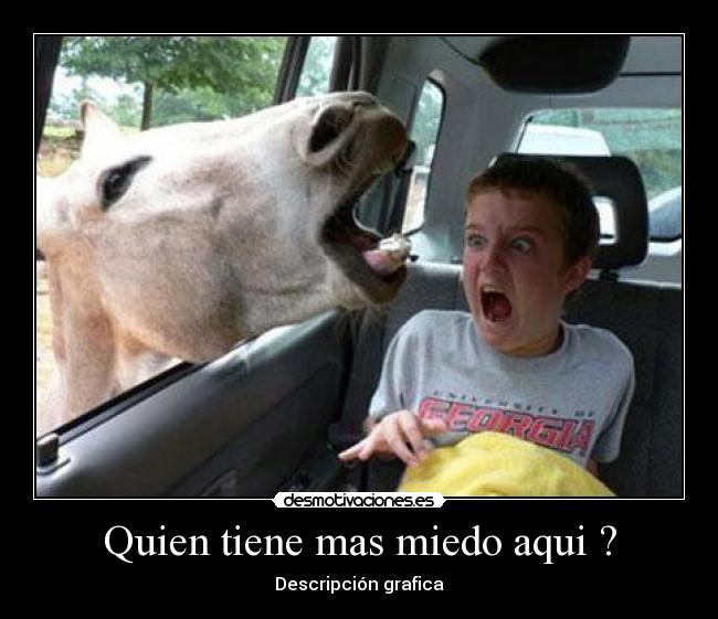 Quien tiene mas miedo aqui ? - 