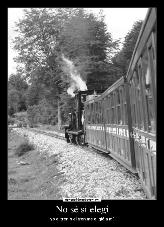 No sé si elegí - 