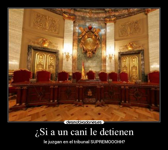 carteles dsadas desmotivaciones