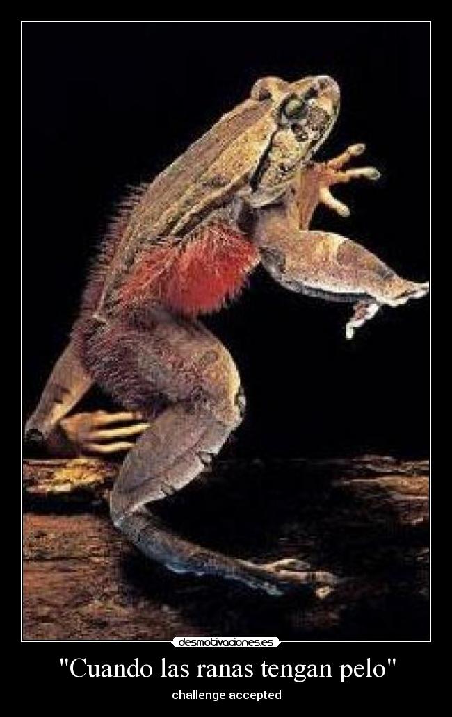 Cuando las ranas tengan pelo - challenge accepted