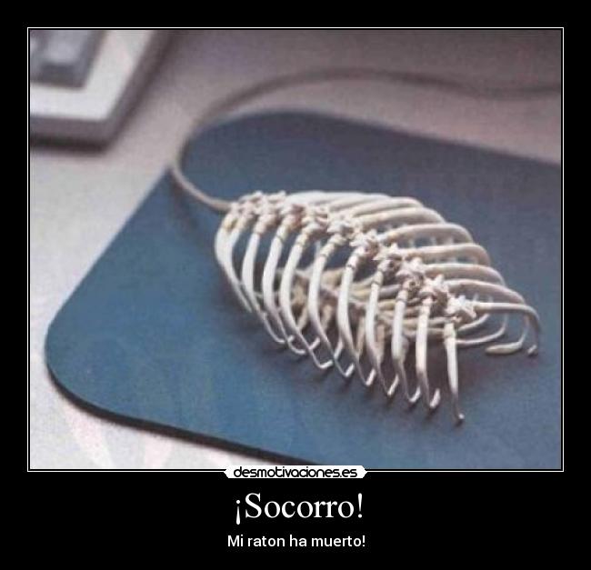 ¡Socorro! - 