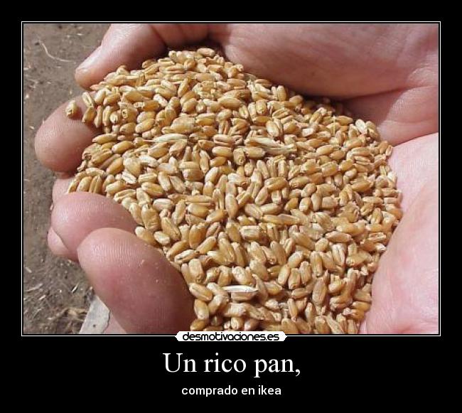 Un rico pan, -
