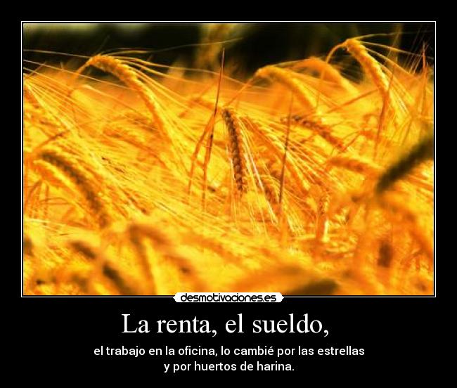 La renta, el sueldo, - el trabajo en la oficina, lo cambié por las estrellas
y por huertos de harina.