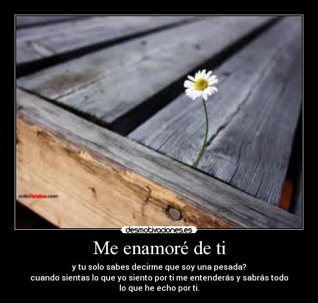 Me enamoré de ti - y tu solo sabes decirme que soy una pesada?
cuando sientas lo que yo siento por ti me entenderás y sabrás todo
lo que he echo por ti.