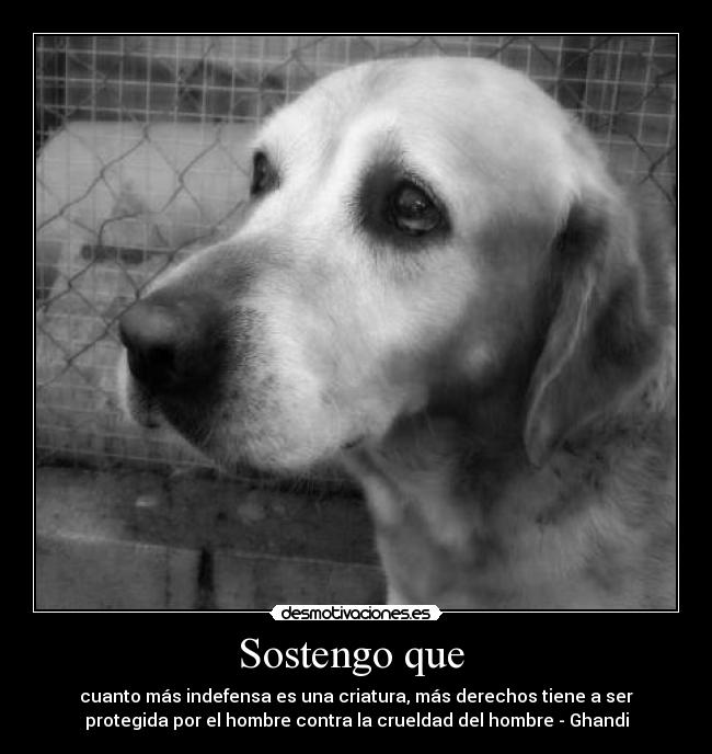 Sostengo que  - cuanto más indefensa es una criatura, más derechos tiene a ser
protegida por el hombre contra la crueldad del hombre - Ghandi
