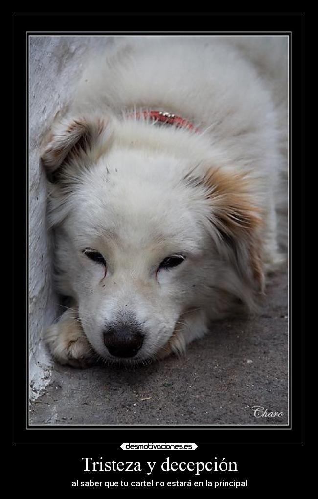 Tristeza y decepción - al saber que tu cartel no estará en la principal