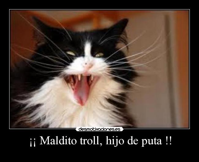 ¡¡ Maldito troll, hijo de puta !! -