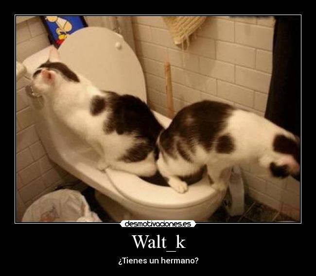 Walt_k - ¿Tienes un hermano?