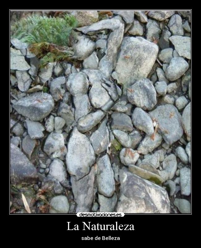 La Naturaleza - sabe de Belleza