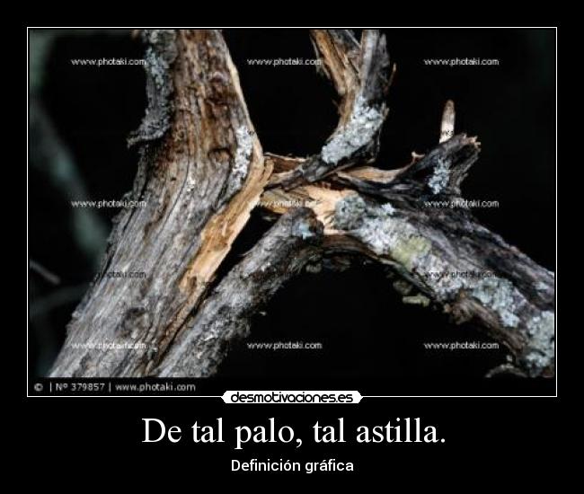 De tal palo, tal astilla. - Definición gráfica