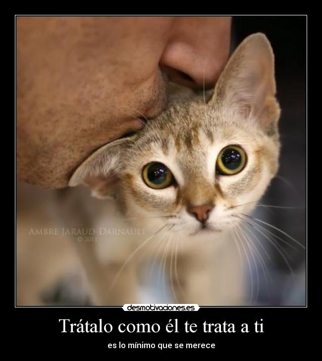 Trátalo como él te trata a ti -