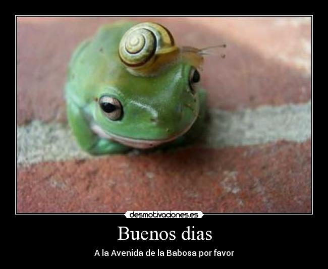 Buenos dias - A la Avenida de la Babosa por favor