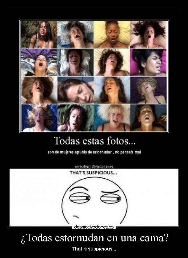 ¿Todas estornudan en una cama? - 