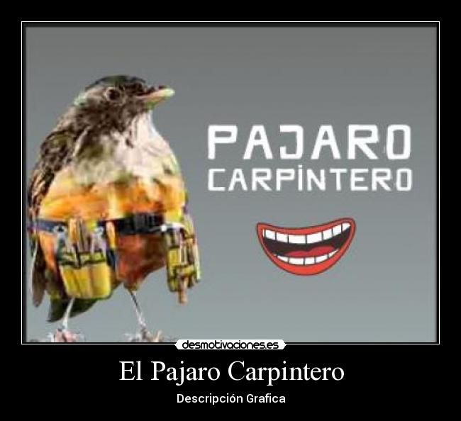 El Pajaro Carpintero -