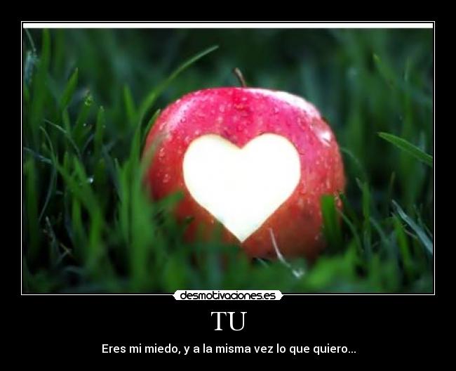 TU - Eres mi miedo, y a la misma vez lo que quiero...