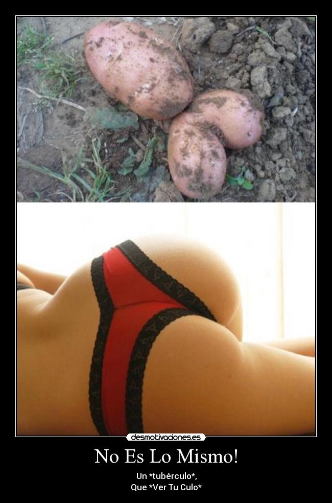 No Es Lo Mismo! - Un *tubérculo*,
Que *Ver Tu Culo*