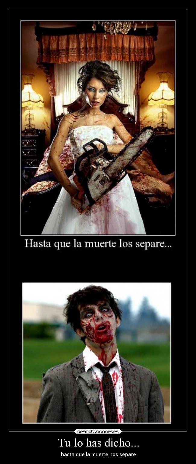 Tu lo has dicho... -