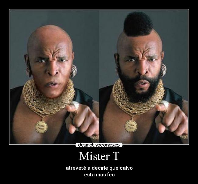 Mister T -