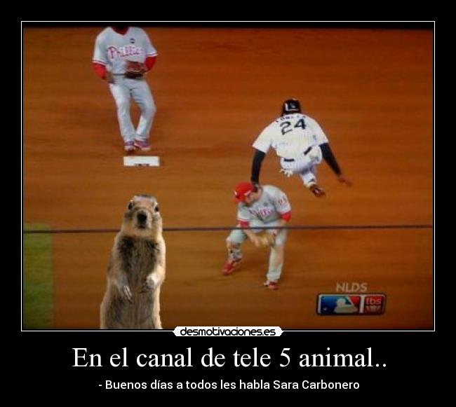 En el canal de tele 5 animal.. -