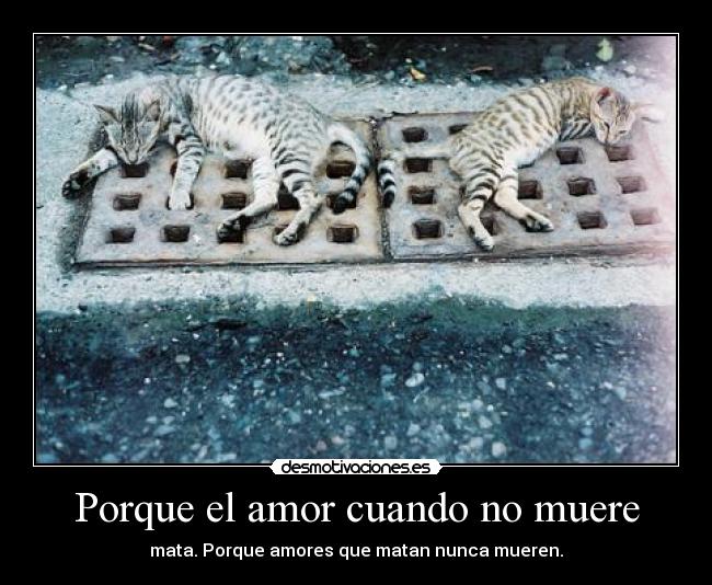 Porque el amor cuando no muere -