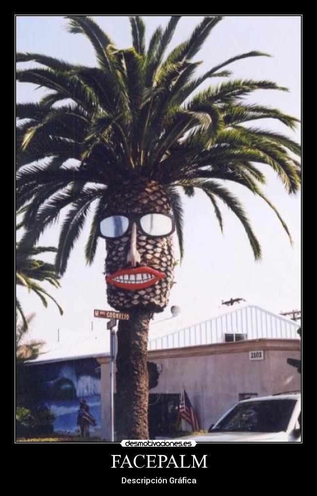 FACEPALM - Descripción Gráfica