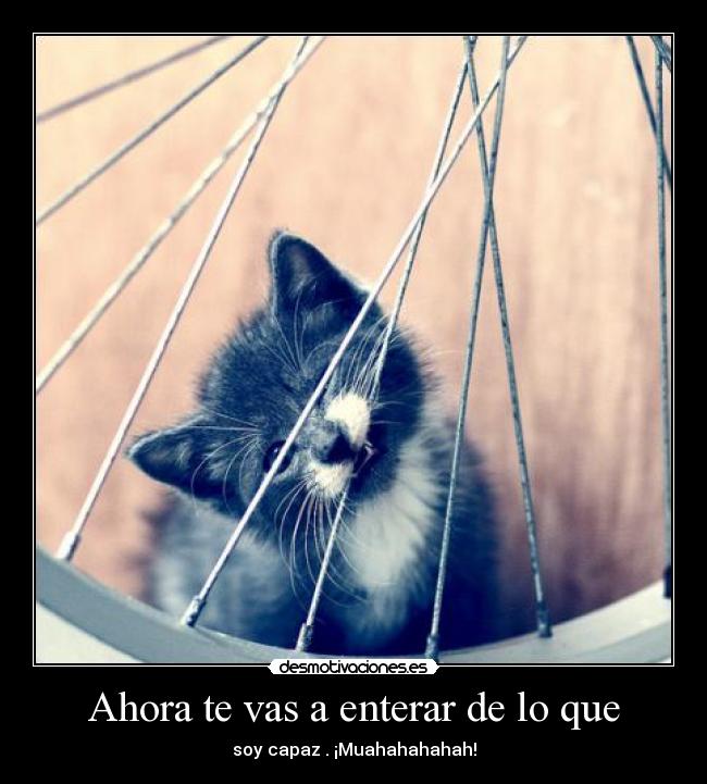 Ahora te vas a enterar de lo que -