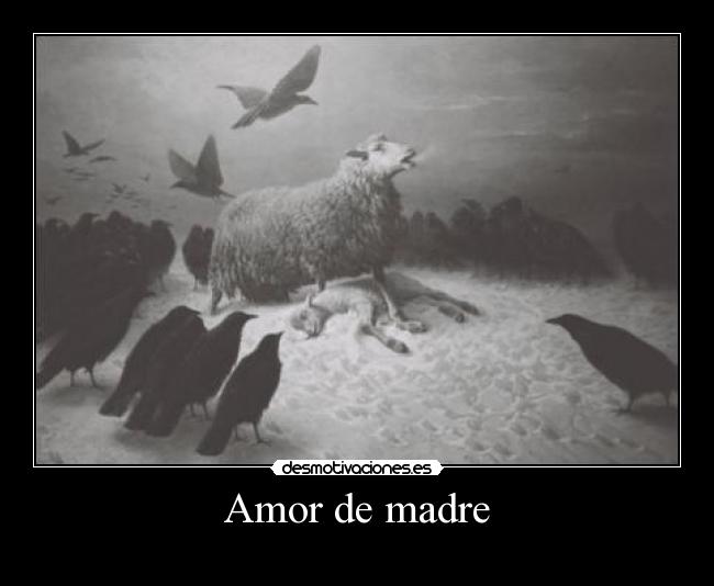 Amor de madre -