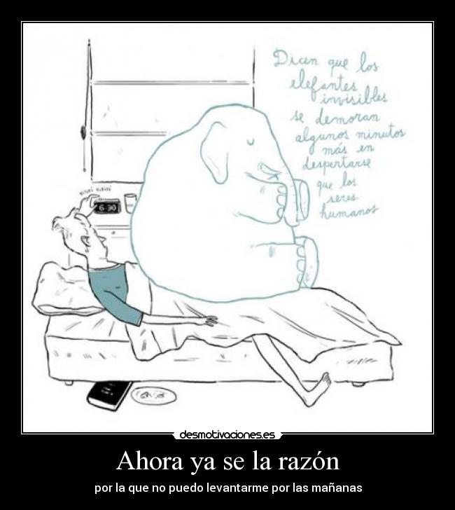 Ahora ya se la razón - por la que no puedo levantarme por las mañanas