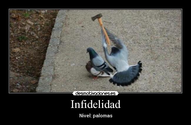 Infidelidad - 