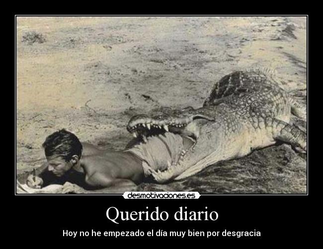 Querido diario - Hoy no he empezado el día muy bien por desgracia