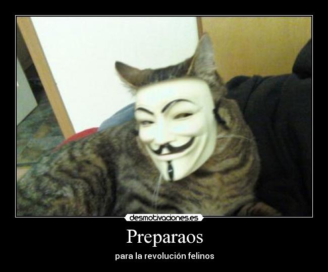 Preparaos - 