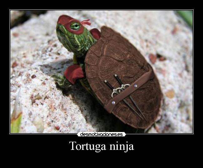 Tortuga ninja -