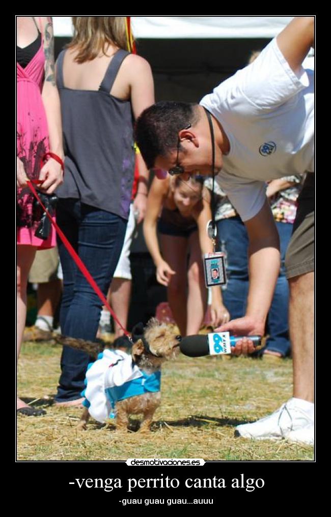 -venga perrito canta algo - 