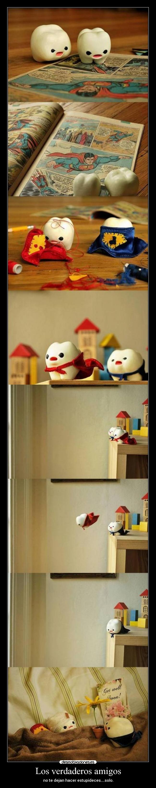 Los verdaderos amigos - no te dejan hacer estupideces....solo.