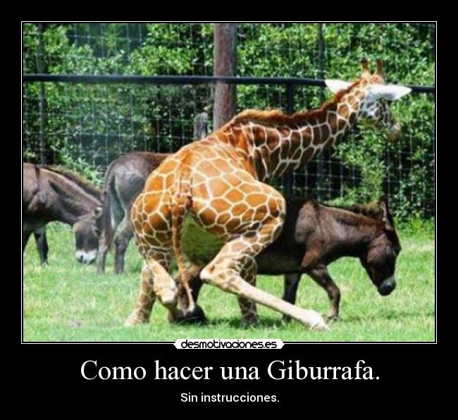 Gfdsa