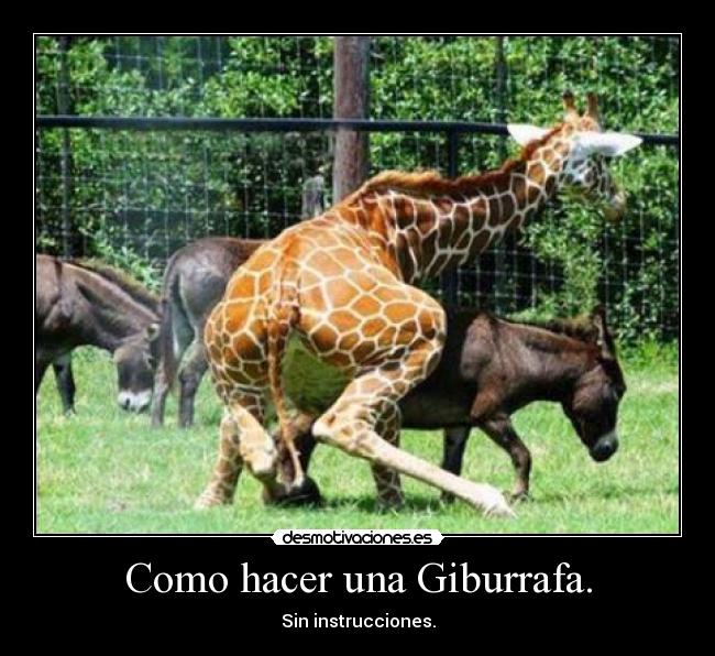 Como hacer una Giburrafa. - 