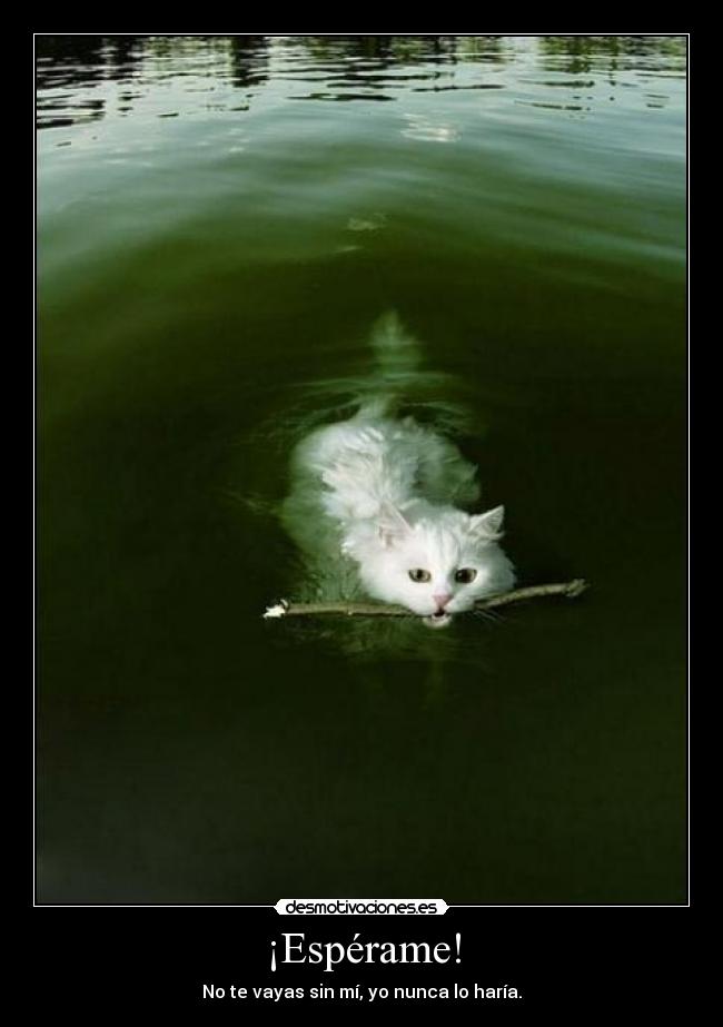 ¡Espérame! -