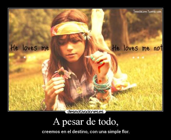 A pesar de todo, - creemos en el destino, con una simple flor.