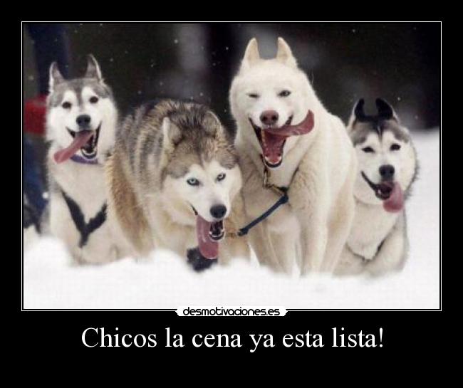 carteles teamooooooooooolore desmotivaciones