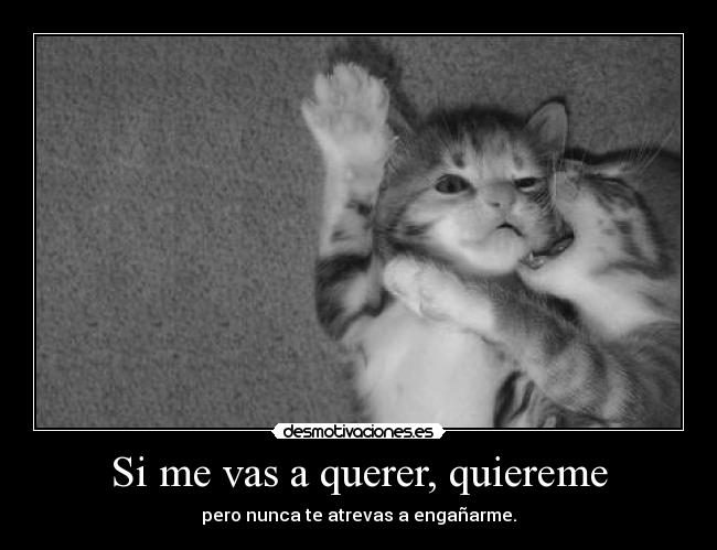 Si me vas a querer, quiereme - 