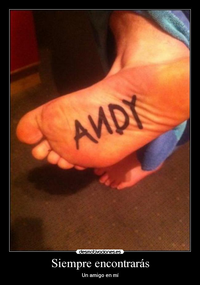 Siempre encontrarás -