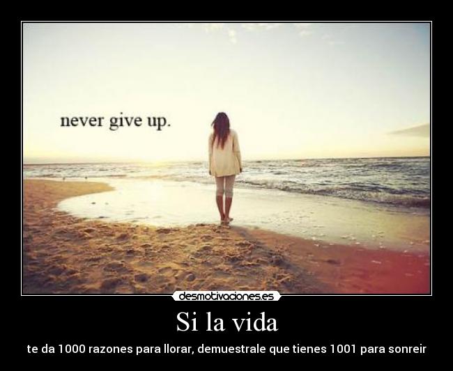 carteles vida sonreir desmotivaciones